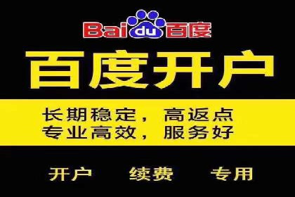 百度推广费用的投入与市场占有率提升的关联案例